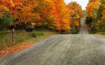 Nature Autumn 3d Wallpaper Choice