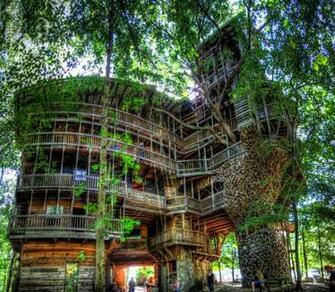 Amazing Tree House Design Wallpaper Cool HD