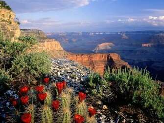 Nature Wallpaper Landscape 3jokes Gallery