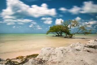 Florida Keys Beaches HD 500px Islamorada Beach By David