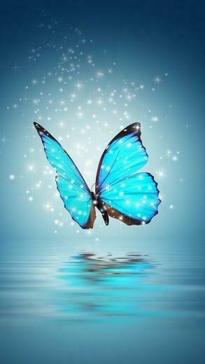 Emily Arroyo Laughlin On Butterfly Love In