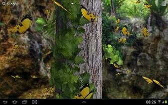 Butterfly 3d Live Wallpaper For Android