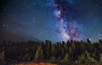 The Milky Way Space Trees Stars Mystery Wallpaper Photos