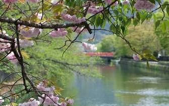 Spring Wallpaper For Desktop Background HD