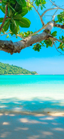 Hello Summer Wallpaper Sun Beautiful Nature