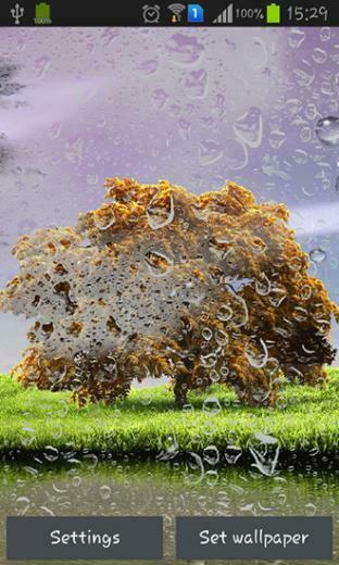 Spring Storm