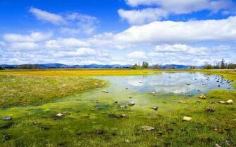 Widescreen Desktop Wallpaper HD Rooteto