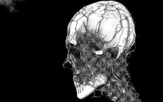 Definition Wallpaper Photo Skull Html