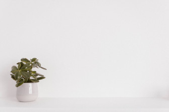 White Wall Wallpaper
