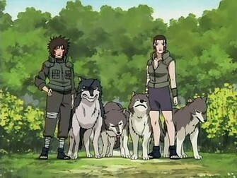 Wallpaper E Imagens Kiba Shippuden Fotos De