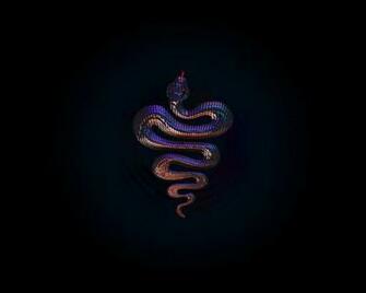 Cool Snake Background