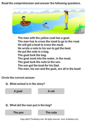 Reading Comprehension Stories Worksheet Turtle Diary