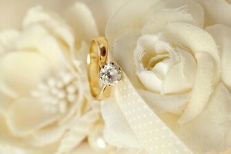 Wedding Background Flowers Ring Lace Soft
