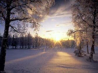 Snow Falling Wallpaper High Definition Cool Nature