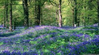 Cool Spring Wallpaper Background Collection