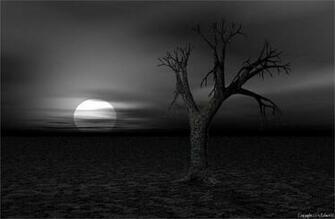 Landscape Wallpaper And Background Image Id