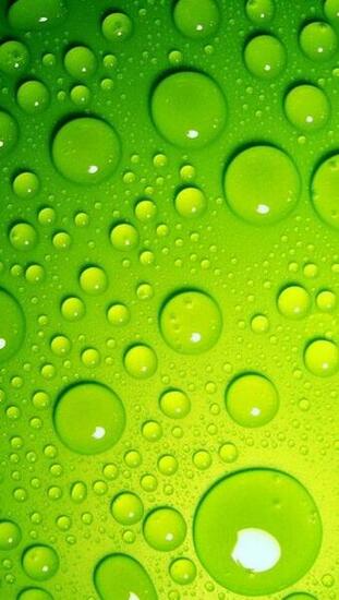 Green Wallpaper