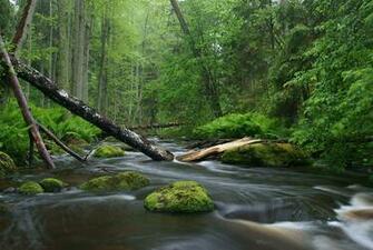 Nature Photography Wikipedia