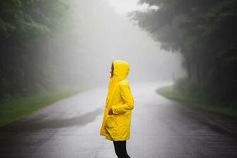 Rain Fog Canada Public Domain Image