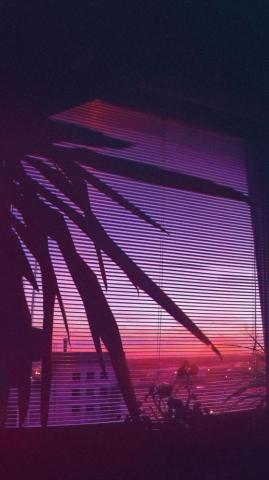 V A P O R W E