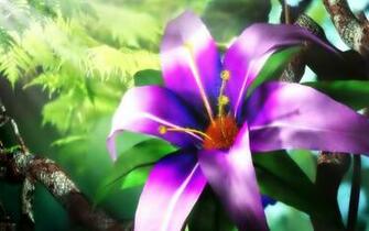 Purple Flower