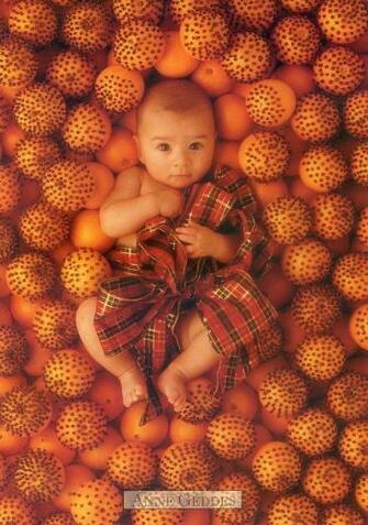 Derek Geddes Photography Christmas Anne Baby S Fall