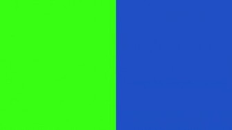 Bright Neon Green Color Pix For Web