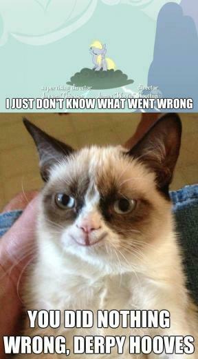 Grumpy Cat On Derpy Hooves Know Your Meme