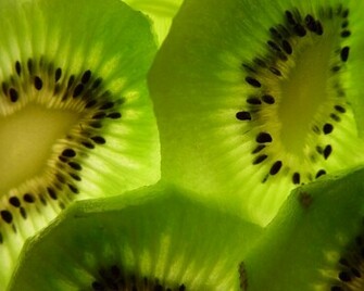 Kiwi Wallpaper
