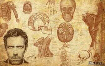 Skulls Anatomy Wallpaper Dr House Hugh