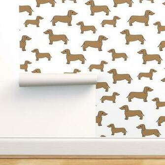 Doxie Cute Dog Pet On Isobar By Andrea Roostery