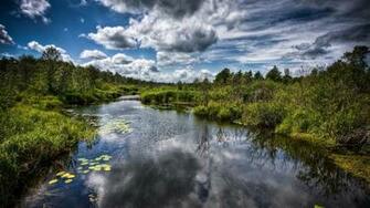 Beautiful Peaceful Stream Wallpaper