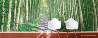 Birch Aspen Tree Wallpaper Murals Your Way