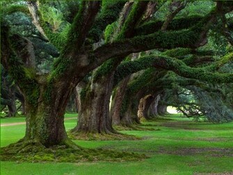 New Nature Wallpaper HD And Pictures