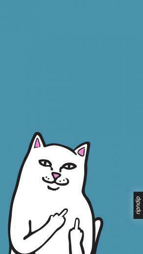 Ofwgkta iPhone Wallpaper
