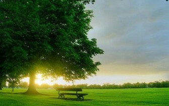 Nature Spring HD Wallpaper Pictures Photos