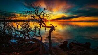 Awesome Nature Wallpaper In Full HD