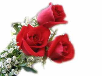 This Entry Was Posted In Flowers Wallpaper