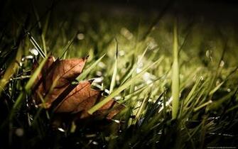 High Definition Desktop Background Wallpaper