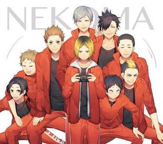Nekomata High School Volleyball Club Haikyuu