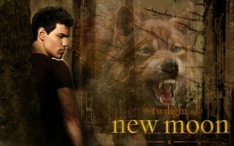 Wallpaper X The Quileute Wolf Pack