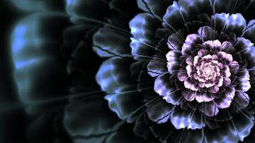 Wp Black Dahlia By Satania