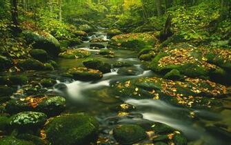 Home Bulk Wallpaper Cool Desktop
