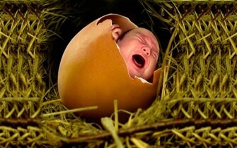 Easter Baby