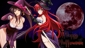 Akeno Wallpaper For Your Screen