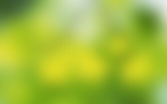 Soft Green X Widescreen Wallpaper