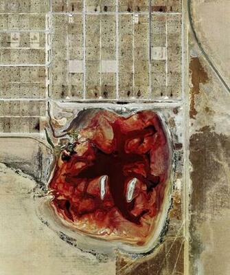 Feedlots Mishka Henner