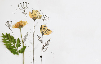 Incomparable Minimalist Aesthetic Flower Desktop Wallpaper You Can