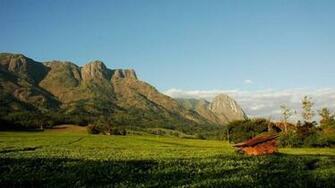 Theeplantage Aan De Voet Van Mt Mulanje Malawi Mount