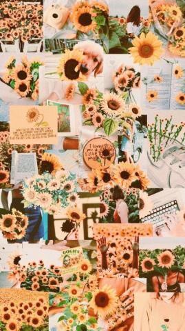 Image About Wallpaper On We Heart It See More